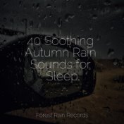 40 Soothing Autumn Rain Sounds for Sleep