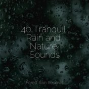 40 Tranquil Rain and Nature Sounds