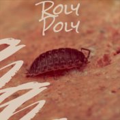 Roly Poly