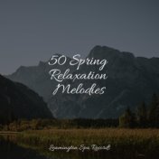 50 Spring Relaxation Melodies