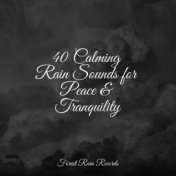 40 Calming Rain Sounds for Peace & Tranquility