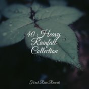 40 Heavy Rainfall Collection