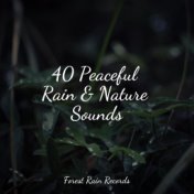 40 Peaceful Rain & Nature Sounds