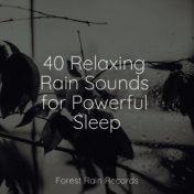 40 Relaxing Rain Sounds for Powerful Sleep