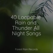 40 Loopable Rain and Thunder All Night Songs