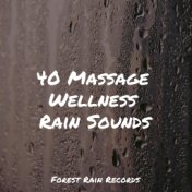 40 Massage Wellness Rain Sounds