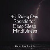 40 Rainy Day Sounds for Deep Sleep Mindfulness