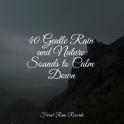 40 Gentle Rain and Nature Sounds to Calm Down