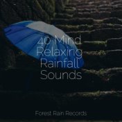 40 Mind Relaxing Rainfall Sounds