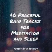 40 Peaceful Rain Tracks for Meditation and Sleep