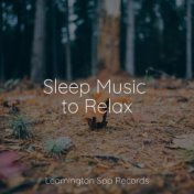 Sleep Music to Relax