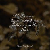 40 Summer Rain Sounds for Relaxing at the Spa