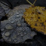 40 Peaceful Sleep Tracks - Rain & Sleep