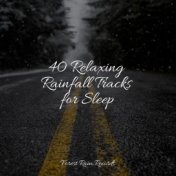 40 Relaxing Rainfall Tracks for Sleep