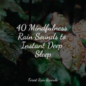 40 Mindfulness Rain Sounds to Instant Deep Sleep