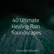 40 Ultimate Healing Rain Soundscapes