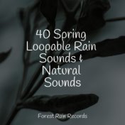 40 Spring Loopable Rain Sounds & Natural Sounds