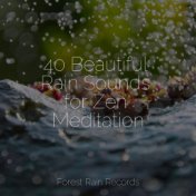 40 Beautiful Rain Sounds for Zen Meditation