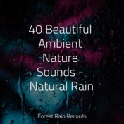 40 Beautiful Ambient Nature Sounds - Natural Rain