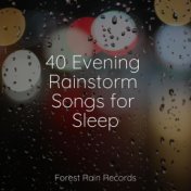 40 Evening Rainstorm Songs for Sleep