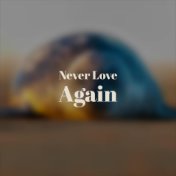 Never Love Again