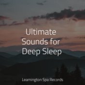 Ultimate Sounds for Deep Sleep