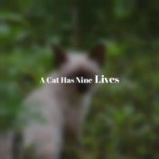 A Cat Has Nine Lives