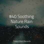 #40 Soothing Nature Rain Sounds
