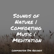 Sounds of Nature | Comforting Music | Meditation