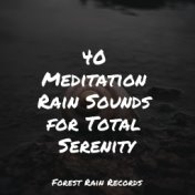 40 Meditation Rain Sounds for Total Serenity