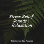 Stress Relief Sounds | Relaxation