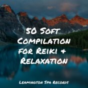 50 Soft Compilation for Reiki & Relaxation
