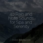 40 Rain and Note Sounds for Spa and Serenity