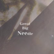 Great Big Needle