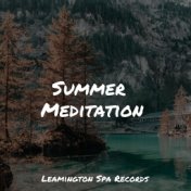 Summer Meditation