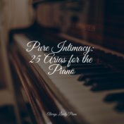 Pure Intimacy: 25 Arias for the Piano