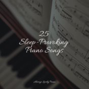 25 Sleep-Provoking Piano Songs