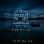 Soothing Sounds | Stressful Sounds of Nature | Meditation