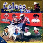 Coleos de la Nueva Era, Vol. 1