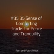 #35 35 Sense of Comforting Tracks for Peace and Tranquility