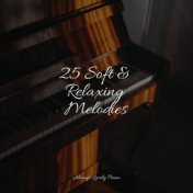 25 Soft & Relaxing Melodies