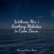 Wellness Mix | Soothing Melodies to Calm Down