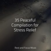 35 Peaceful Compilation for Stress Relief