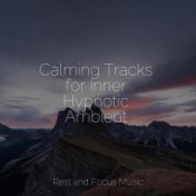 Calming Tracks for Inner Hypnotic Ambient