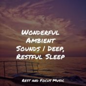 Wonderful Ambient Sounds | Deep, Restful Sleep