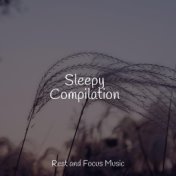 Sleepy Compilation