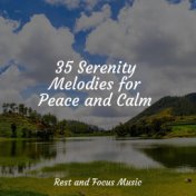 35 Serenity Melodies for Peace and Calm