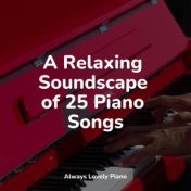 A Relaxing Soundscape of 25 Piano Songs