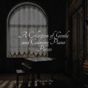 A Collection of Gentle and Calming Piano Pieces