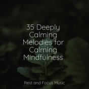 35 Deeply Calming Melodies for Calming Mindfulness